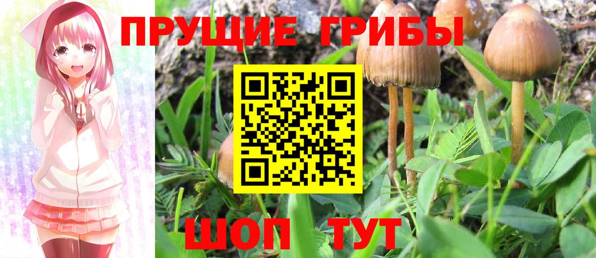Сарапул  Галлюциногенные грибы Magic Shrooms  Вход с VPN  Галлюциногенные грибы MAGIC MUSHROOMS 